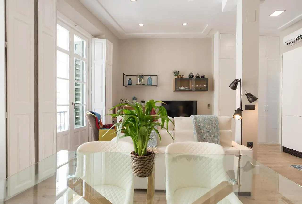 Apartment Homemalaga Constitucion 2 Spain